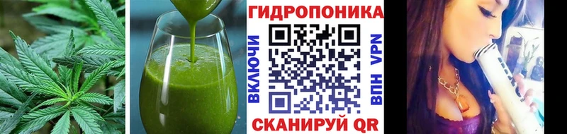 Cannafood конопля  Краснообск 