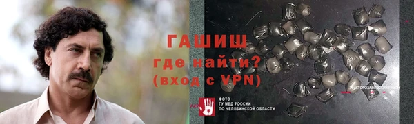 гашик Алексин