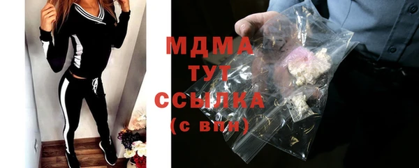 гашик Алексин