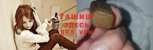 гашик Алексин