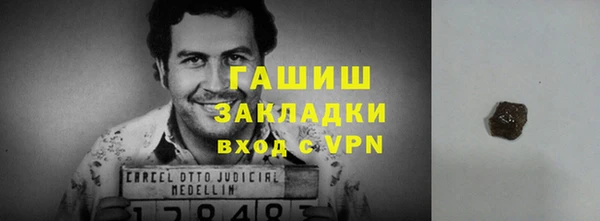 гашик Алексин