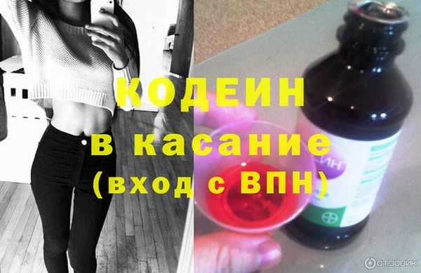 гашик Алексин