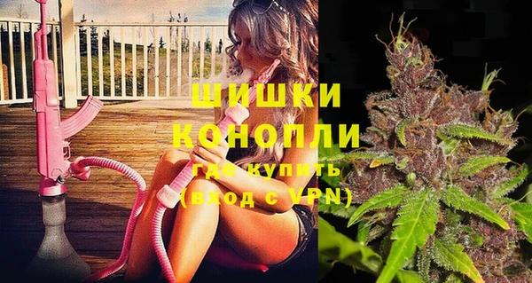 гашик Алексин