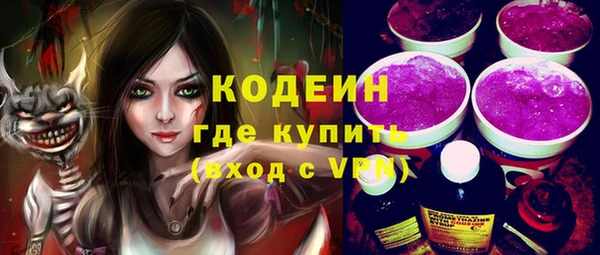 гашик Алексин