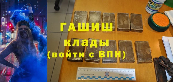 гашик Алексин