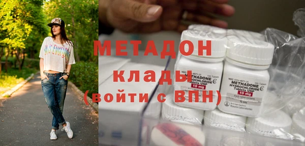 гашик Алексин