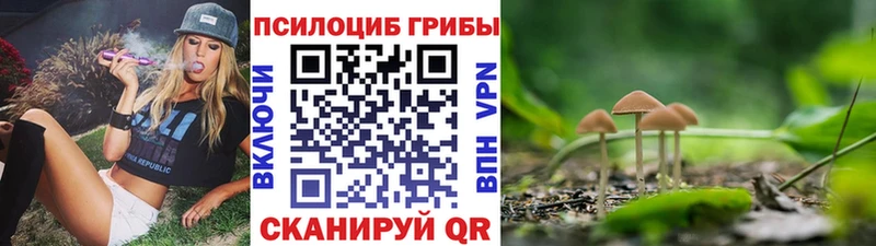 OMG как зайти  Краснообск  Галлюциногенные грибы Psilocybine cubensis 